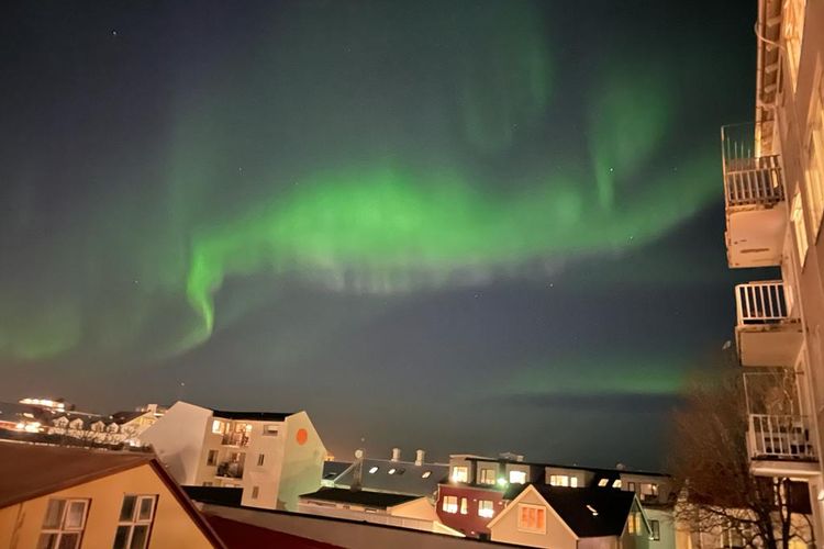 Aurora Borealis di Islandia Pengalaman Ajaib Melihat Cahaya Utara