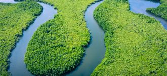 Petualangan Misterius di Sungai Amazon Amerika Selatan