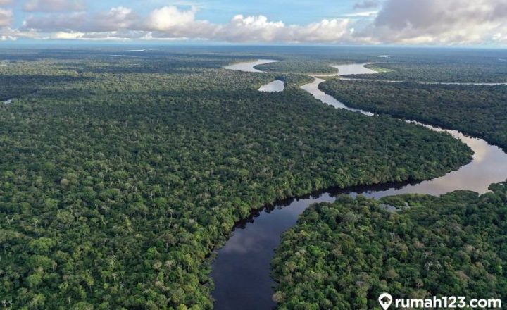 Misteri Sungai Amazon, Yang Sangat Beresiko Di Dunia ~ ZONA KONSPIRASI Misteri Sungai Amazon, Yang Sangat Beresiko Di Dunia ~ ZONA KONSPIRASI