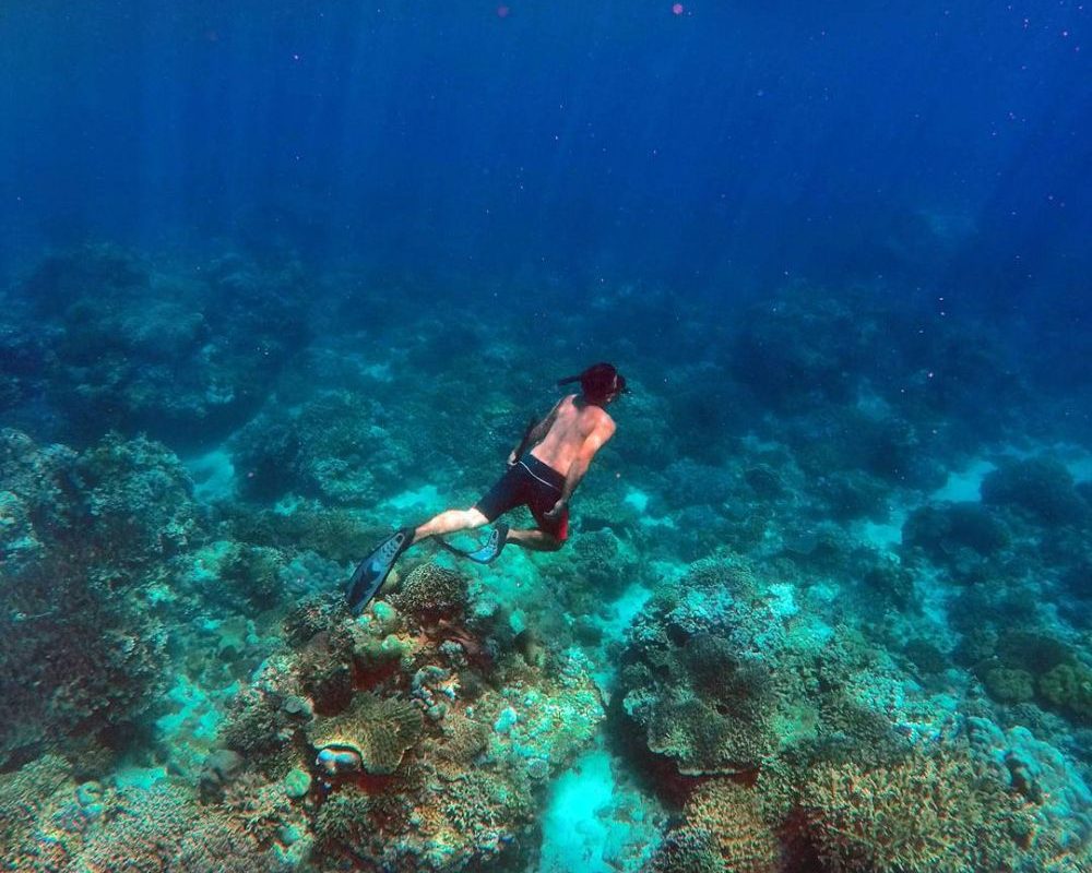 Snorkeling di Maladewa Surga Laut Eksotis Menanti!