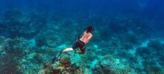 Snorkeling di Maladewa Surga Laut Eksotis Menanti!