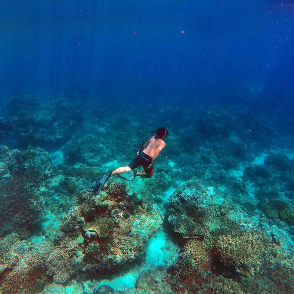 Mau Snorkeling di Pulau Seribu? Ketahui Dulu Tips Berikut Ini Mau Snorkeling di Pulau Seribu? Ketahui Dulu Tips Berikut Ini