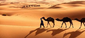 Petualangan Sahara Trekking Unta & Sunset Eksotis