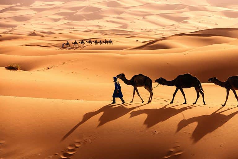 Petualangan Sahara Trekking Unta & Sunset Eksotis
