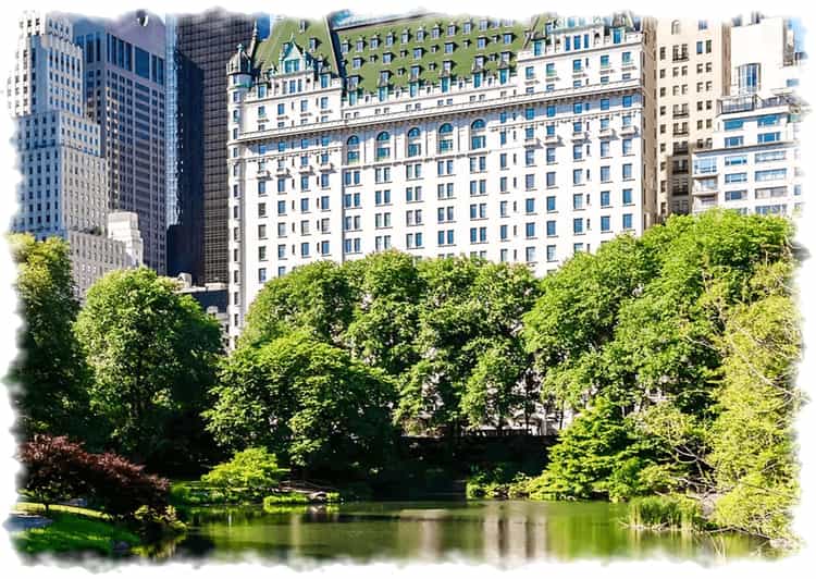 City Tour Santai Central Park Jelajahi Hijau Manhattan