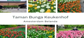 Cantiknya Festival Tulip Keukenhof Belanda!