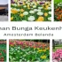 TAMAN KEUKENHOF | WISATA BUNGA TULIP DI BELANDA - YouTube