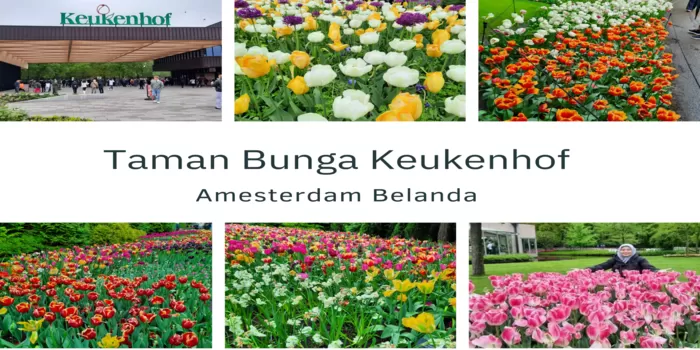 Cantiknya Festival Tulip Keukenhof Belanda!