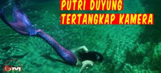 Copenhagen dan Kisah Putri Duyung Ikon Dunia yang Mempesona