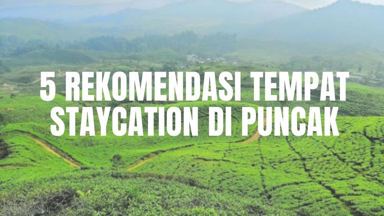 Staycation di Puncak dengan biaya di bawah Rp300 ribu