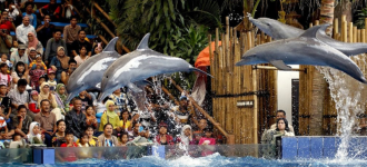 Liburan keluarga hemat ke Taman Safari Prigen Petualangan Tak Terlupakan