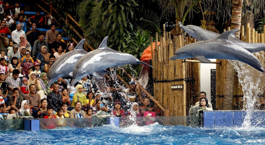 Liburan Taman Safari Prigen Liburan keluarga hemat ke Taman Safari Prigen