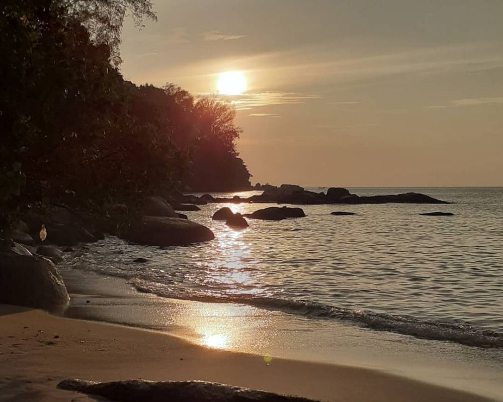 Jelajah Kuliner Murah di Penang, Malaysia Surga Makanan Hemat!