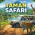 taman safari